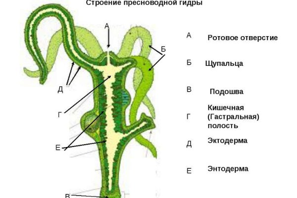 Как зайти на кракен через тор