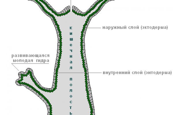 Маркетплейс кракен kraken