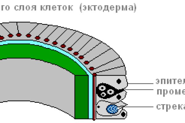 Кракен магазин vk2 top