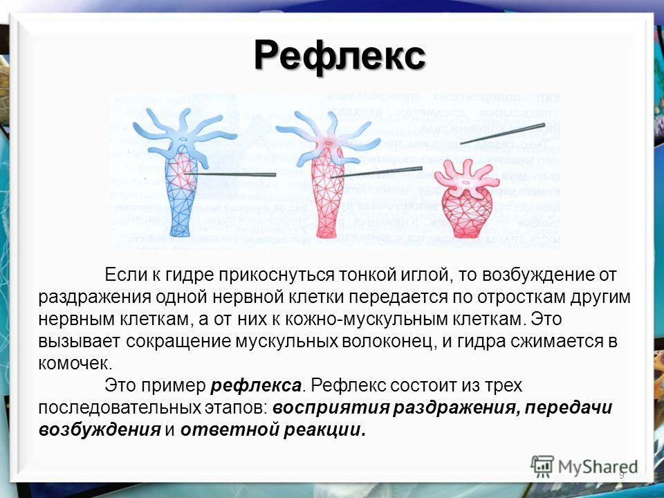 Кракен сайт 17at